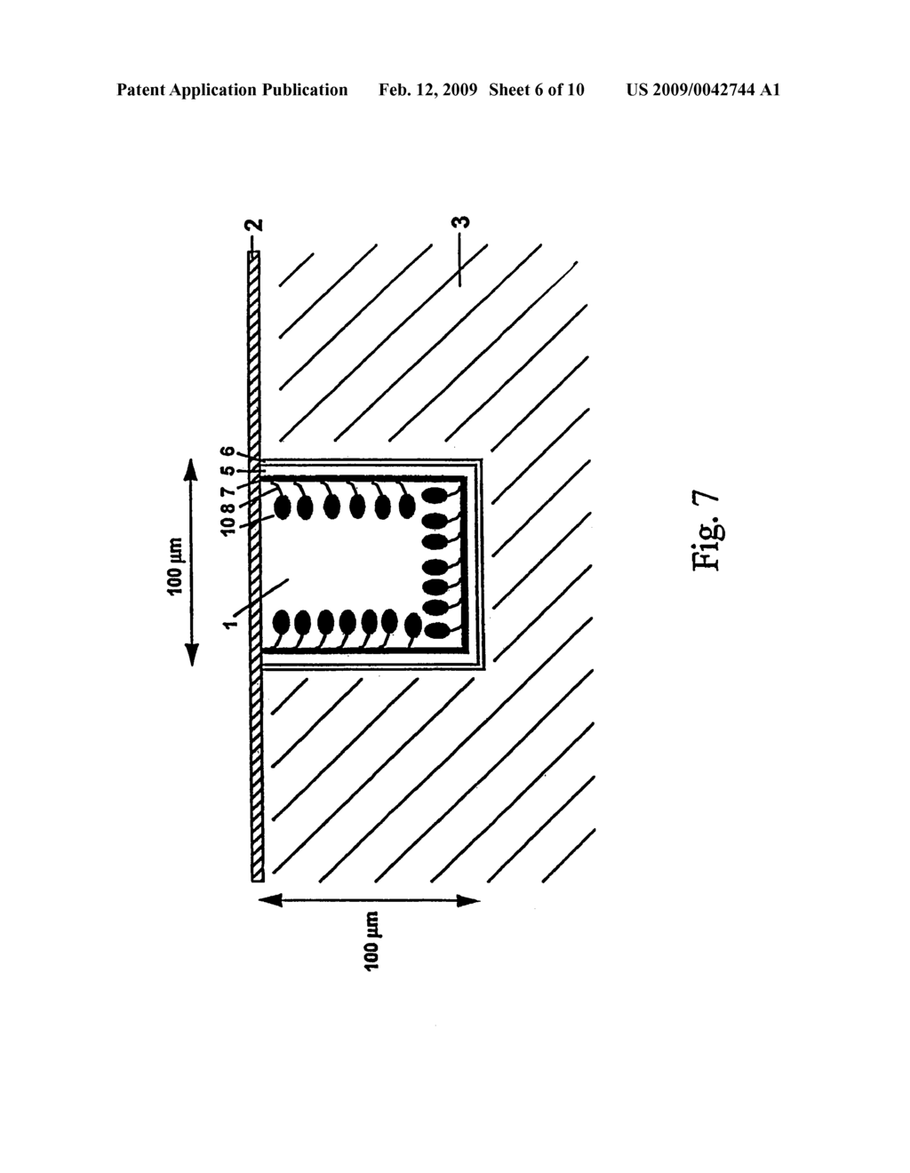 MICRODEVICES FOR SCREENING BIOMOLECULES - diagram, schematic, and image 07