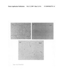 Lubricant having nanoparticles and microparticles to enhance fuel efficiency, and a laser synthesis method to create dispersed nanoparticles diagram and image