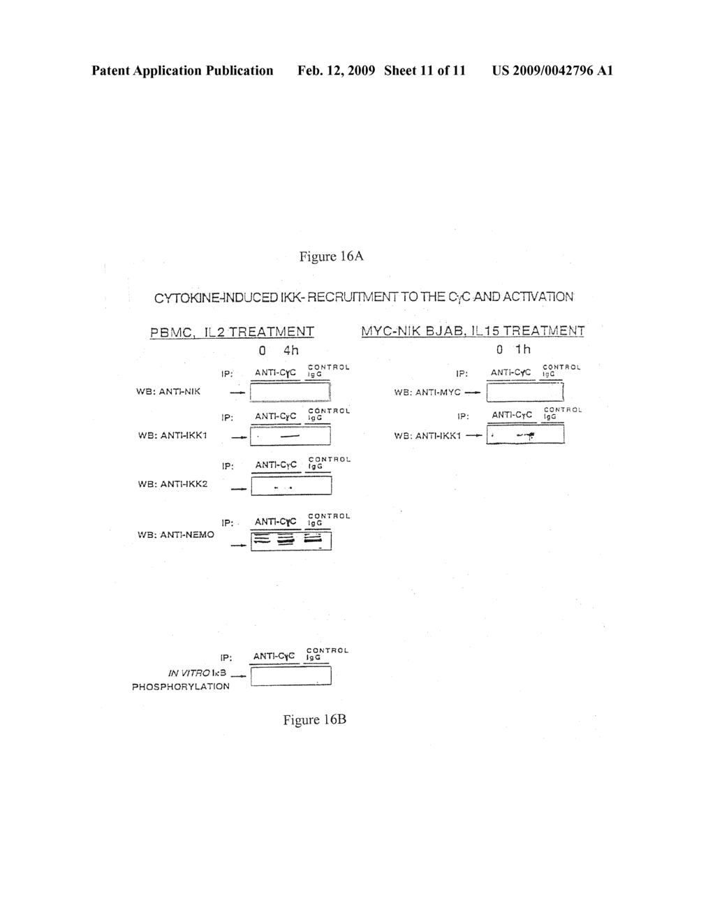 DERIVATIVES OF THE IL-2 RECEPTOR GAMMA CHAIN, THEIR PRODUCTION AND USE - diagram, schematic, and image 12