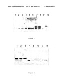 Treatment and Diagnosis of Obligate Intracellular Pathogens diagram and image