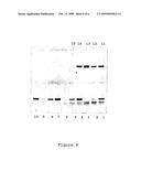 Treatment and Diagnosis of Obligate Intracellular Pathogens diagram and image