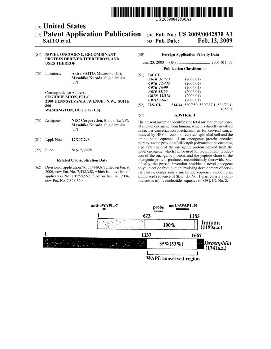 NOVEL ONCOGENE, RECOMBINANT PROTEIN DERIVED THEREFROM, AND USES THEREOF - diagram, schematic, and image 01