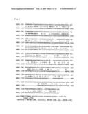 NOVEL ONCOGENE, RECOMBINANT PROTEIN DERIVED THEREFROM, AND USES THEREOF diagram and image