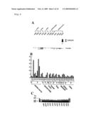 NOVEL ONCOGENE, RECOMBINANT PROTEIN DERIVED THEREFROM, AND USES THEREOF diagram and image