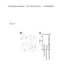 NOVEL ONCOGENE, RECOMBINANT PROTEIN DERIVED THEREFROM, AND USES THEREOF diagram and image