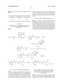 Proteasome inhibitors diagram and image