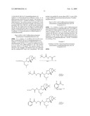 Proteasome inhibitors diagram and image