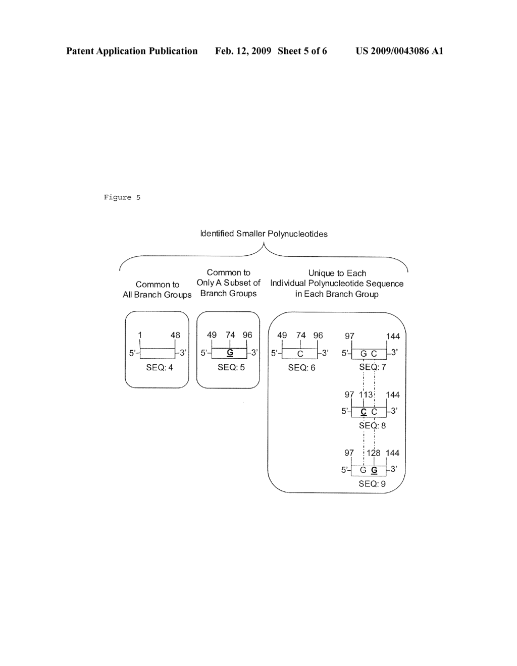 Methods for Synthesizing a Collection of Partially Identical Polynucleotides - diagram, schematic, and image 06