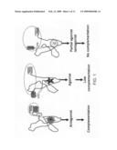 Estrogen receptor intramolecular folding systems, estrogen receptor intramolecular folding sensors, methods of use thereof, methods of detecting ER ligands, and methods of detecting ER agonists and antagonists diagram and image