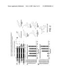 Estrogen receptor intramolecular folding systems, estrogen receptor intramolecular folding sensors, methods of use thereof, methods of detecting ER ligands, and methods of detecting ER agonists and antagonists diagram and image