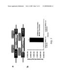 Estrogen receptor intramolecular folding systems, estrogen receptor intramolecular folding sensors, methods of use thereof, methods of detecting ER ligands, and methods of detecting ER agonists and antagonists diagram and image