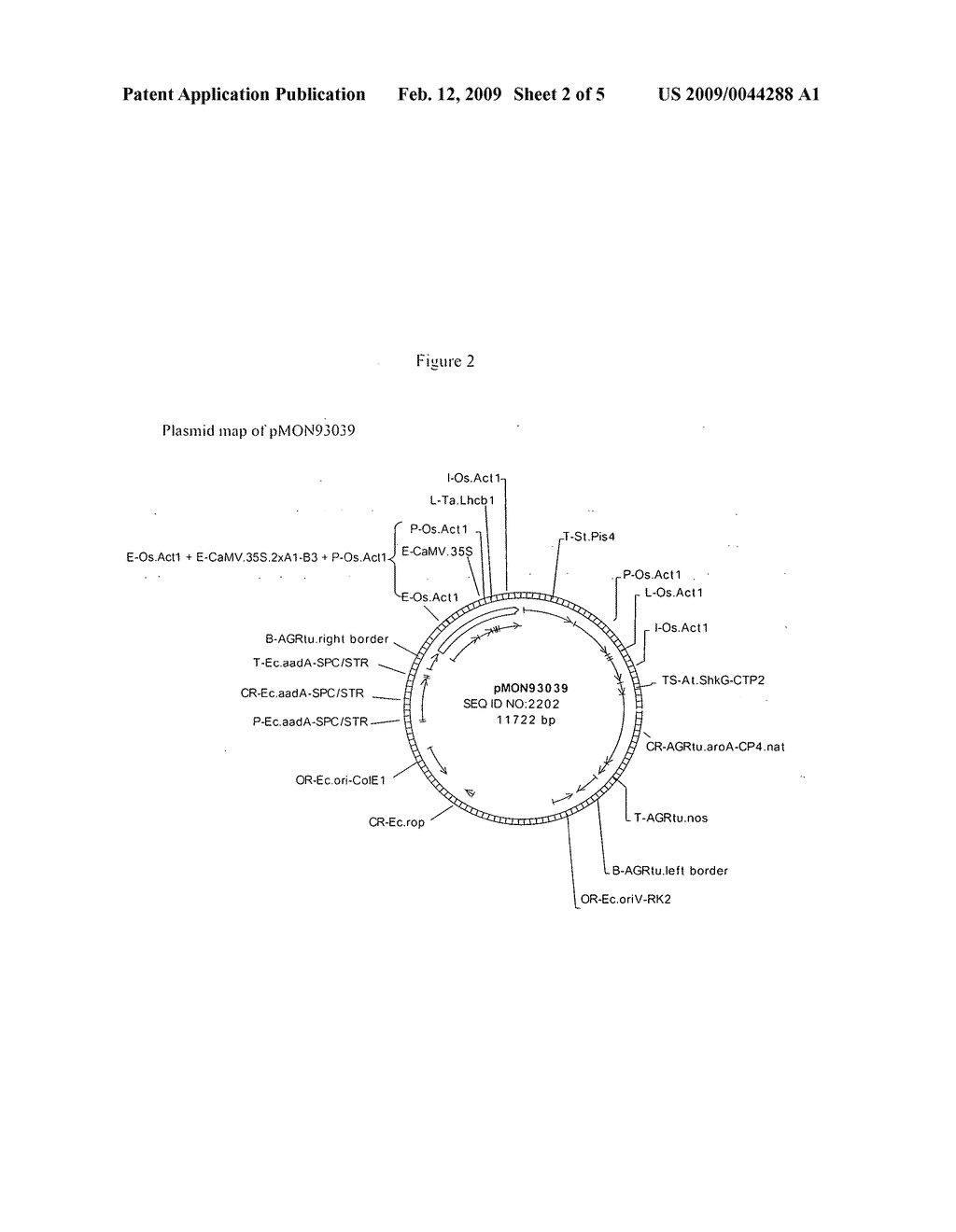 Transgenic plants with enhanced agrnomic traits - diagram, schematic, and image 03