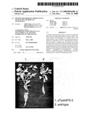 Method For Improving Productivity of Plant By Chloroplast Technology diagram and image