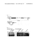 Method For Improving Productivity of Plant By Chloroplast Technology diagram and image