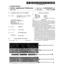 Composite Sheet and Use Thereof diagram and image