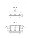 Image sensor with vertical drain structures diagram and image