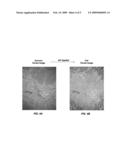 Image Analogy Filters For Terrain Modeling diagram and image