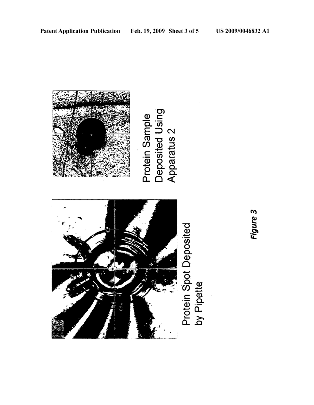 Well Plate - diagram, schematic, and image 04