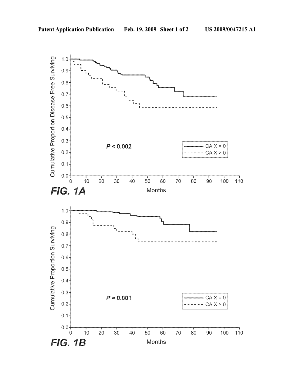 MN/CA IX and Breast Cancer Therapy - diagram, schematic, and image 02