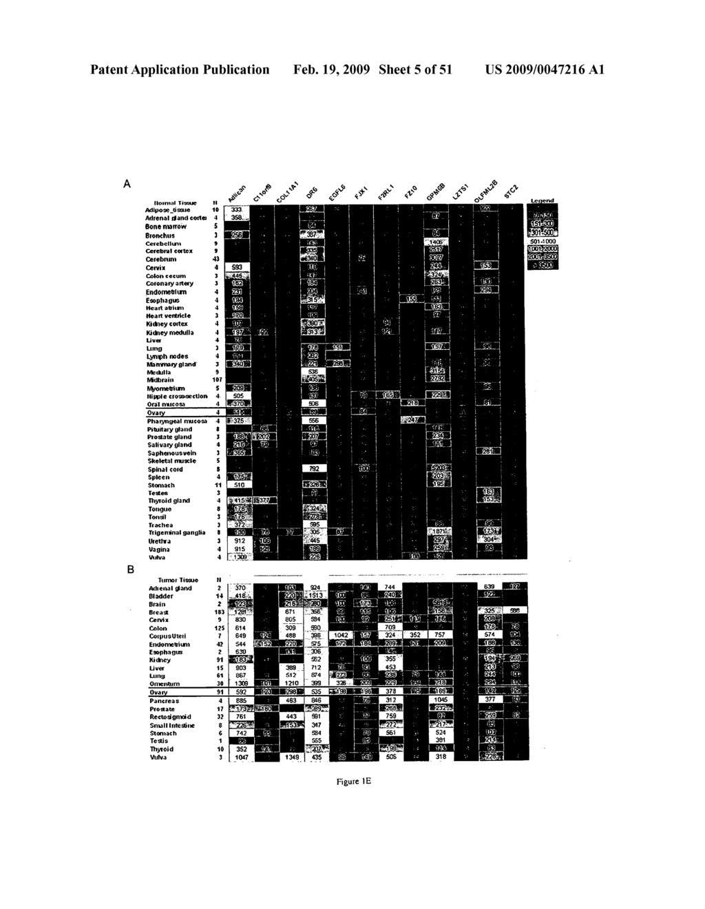 Tumor vasculature markers and methods of use thereof - diagram, schematic, and image 06