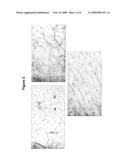 Novel cell populations and uses thereof diagram and image