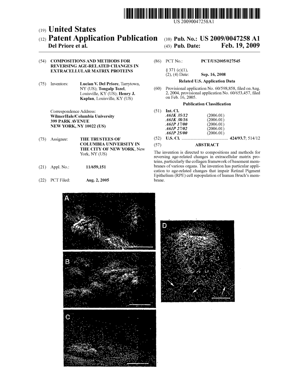 COMPOSITIONS AND METHODS FOR REVERSING AGE-RELATED CHANGES IN EXTRACELLULAR MATRIX PROTEINS - diagram, schematic, and image 01