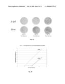 Nell-1 enhanced bone mineralization diagram and image