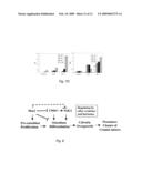 Nell-1 enhanced bone mineralization diagram and image