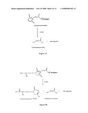 Method for improving the immunogenicity of plasmodium antigens diagram and image