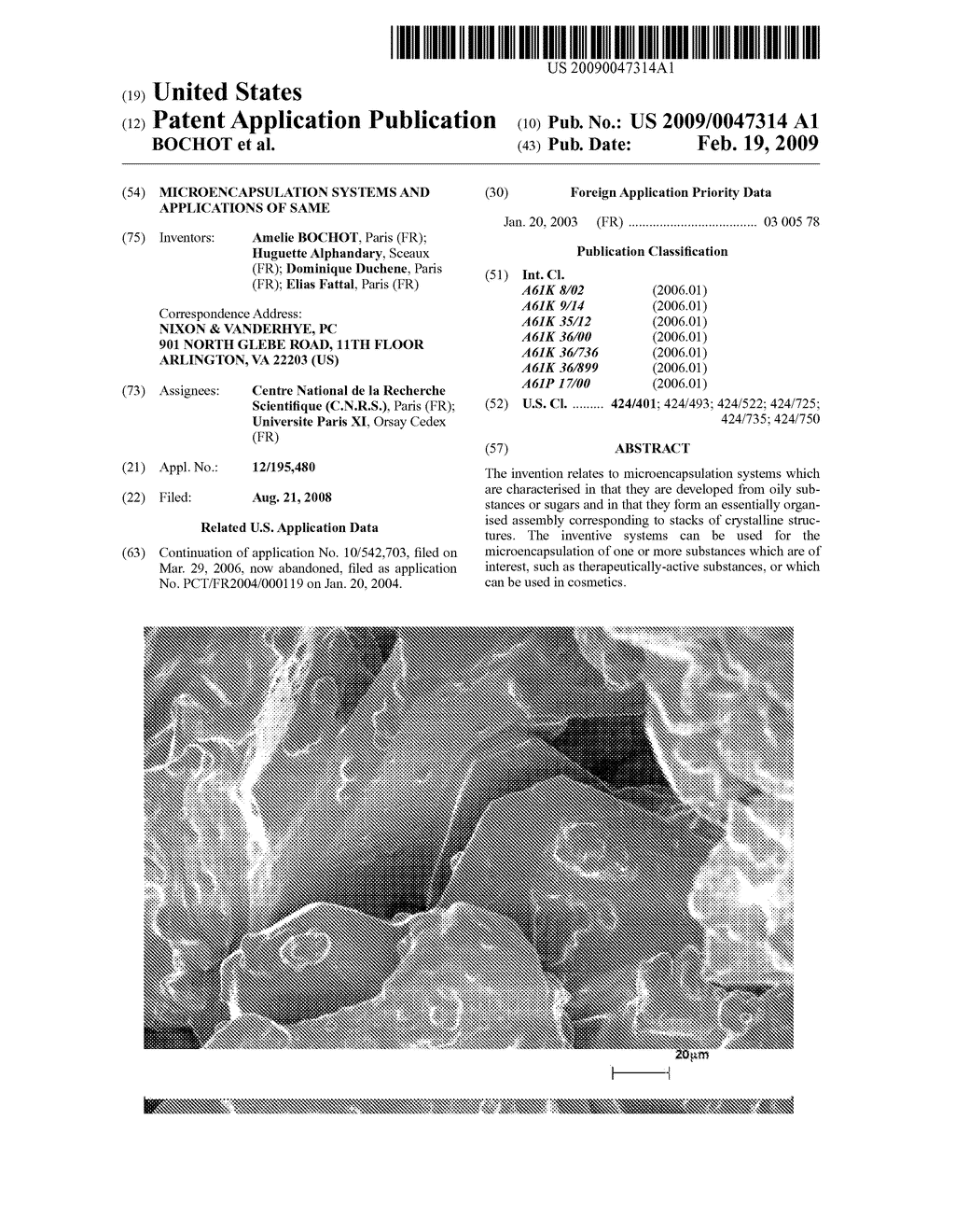 MICROENCAPSULATION SYSTEMS AND APPLICATIONS OF SAME - diagram, schematic, and image 01