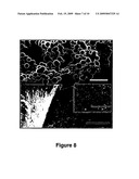 MESOCELLULAR OXIDE FOAMS AS HEMOSTATIC COMPOSITIONS AND METHODS OF USE diagram and image