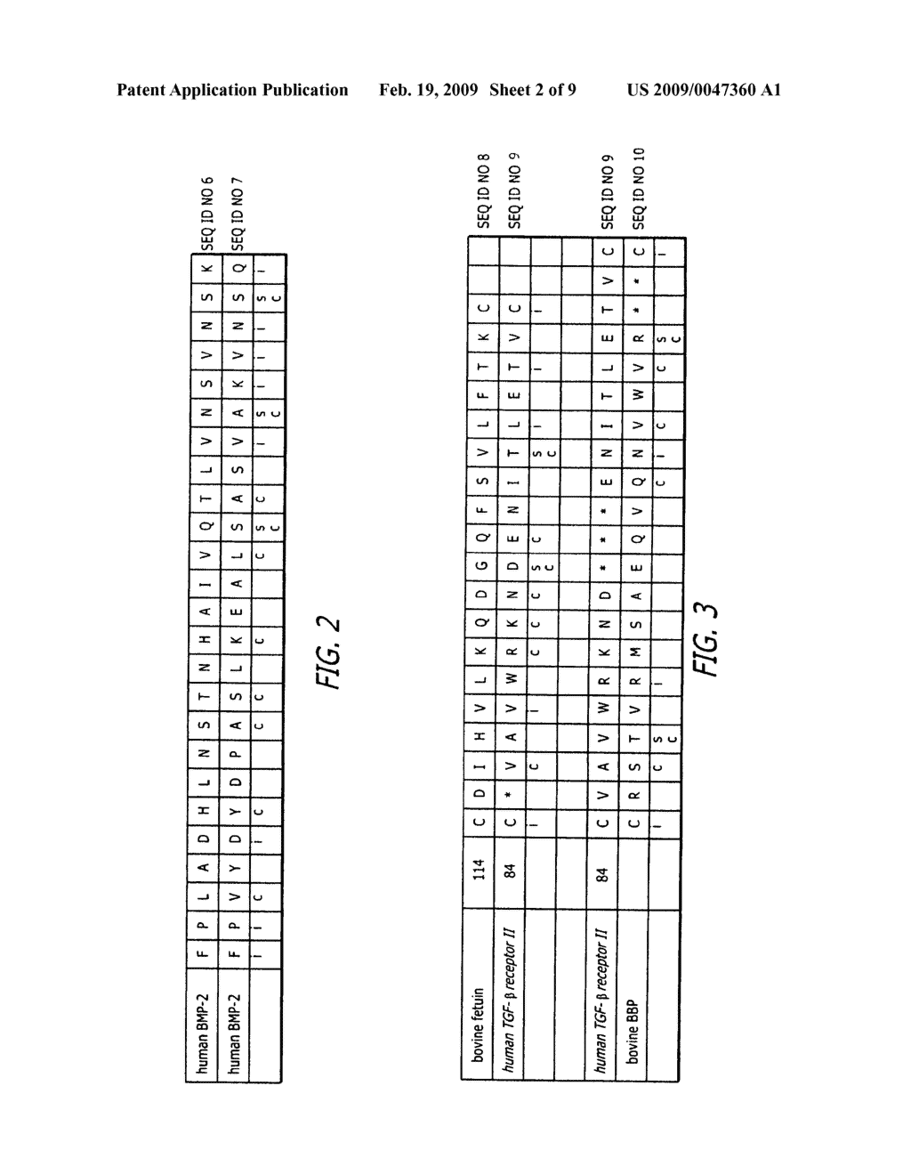 Bone morphogenic protein binding peptide - diagram, schematic, and image 03