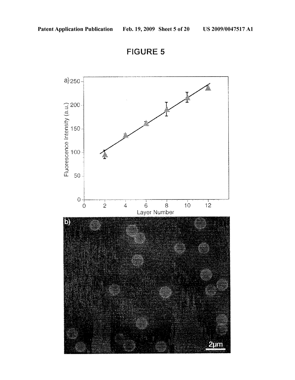 MULTILAYER POLYMER FILMS - diagram, schematic, and image 06