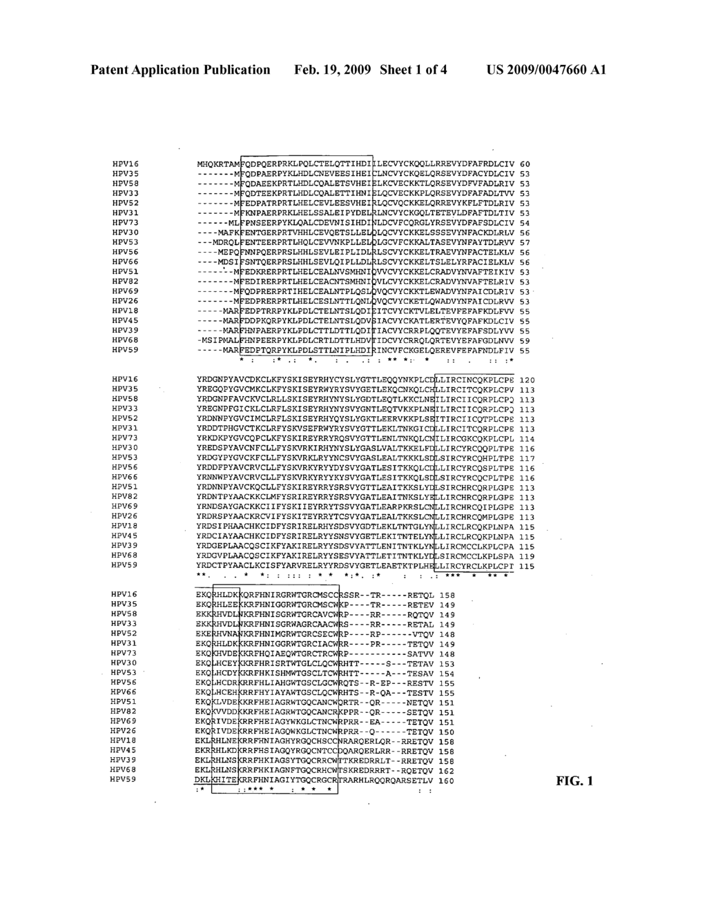 Antibodies for oncogenic strains of HPV and methods of their use - diagram, schematic, and image 02