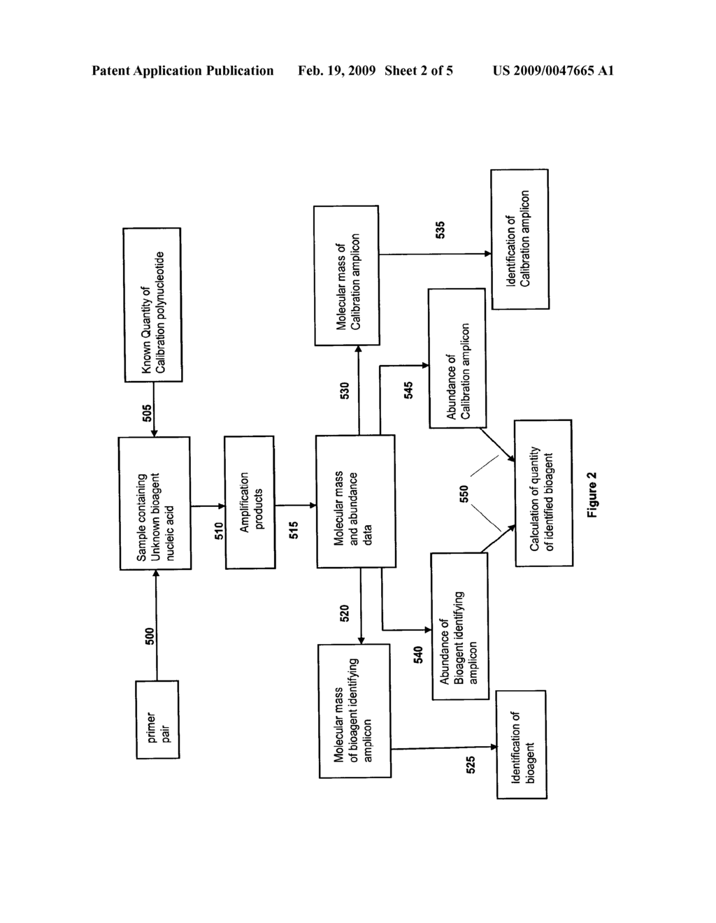 COMPOSITIONS FOR USE IN IDENTIFICATION OF ADENOVIRUSES - diagram, schematic, and image 03