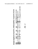 METHOD FOR NUCLEIC ACID ISOLATION AND AMPLIFICATION diagram and image