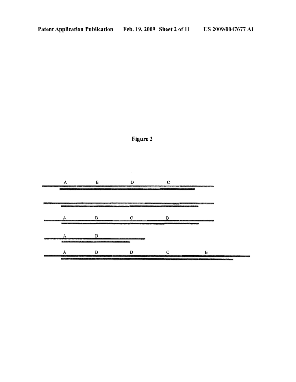 METHODS FOR GENERATING A DISTRIBUTION OF OPTIMAL SOLUTIONS TO NONDETERMINISTIC POLYNOMIAL OPTIMIZATION PROBLEMS - diagram, schematic, and image 03