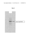 METHODS FOR GENERATING A DISTRIBUTION OF OPTIMAL SOLUTIONS TO NONDETERMINISTIC POLYNOMIAL OPTIMIZATION PROBLEMS diagram and image