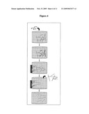 METHODS FOR GENERATING A DISTRIBUTION OF OPTIMAL SOLUTIONS TO NONDETERMINISTIC POLYNOMIAL OPTIMIZATION PROBLEMS diagram and image