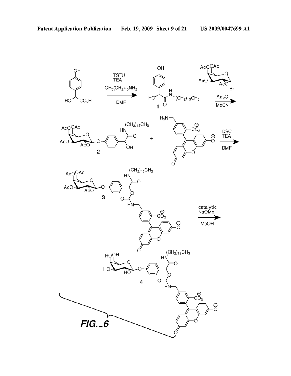 FLUOROGENIC ENZYME ACTIVITY ASSAY METHODS AND COMPOSITIONS USING FRAGMENTABLE LINKERS - diagram, schematic, and image 10