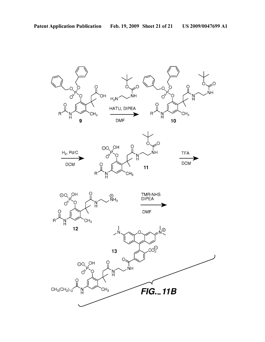 FLUOROGENIC ENZYME ACTIVITY ASSAY METHODS AND COMPOSITIONS USING FRAGMENTABLE LINKERS - diagram, schematic, and image 22