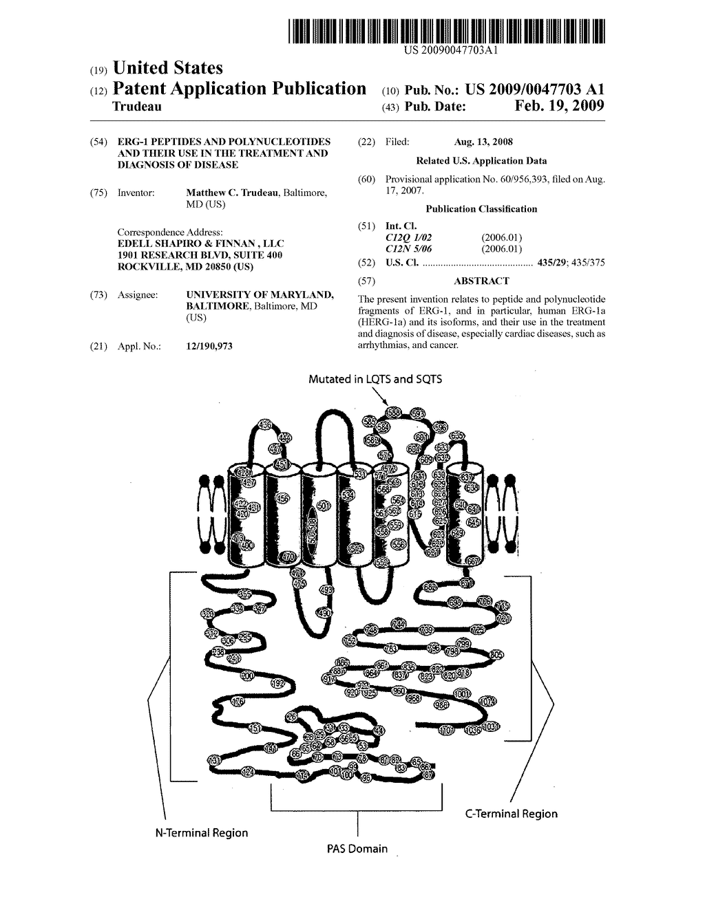 ERG-1 Peptides and Polynucleotides and Their Use in the Treatment and Diagnosis of Disease - diagram, schematic, and image 01