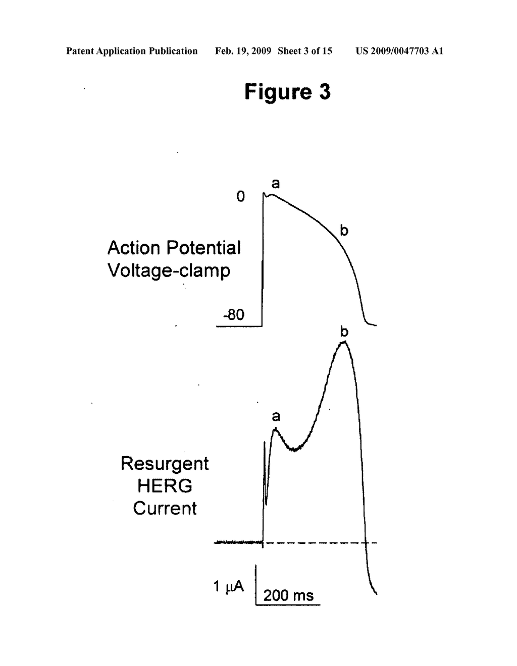 ERG-1 Peptides and Polynucleotides and Their Use in the Treatment and Diagnosis of Disease - diagram, schematic, and image 04