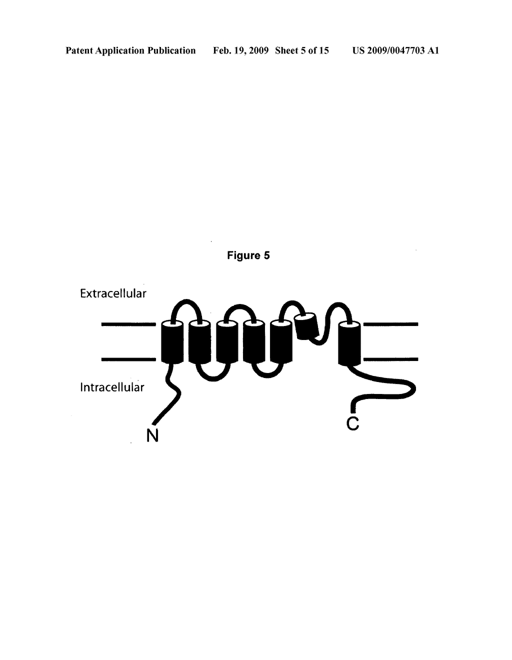 ERG-1 Peptides and Polynucleotides and Their Use in the Treatment and Diagnosis of Disease - diagram, schematic, and image 06