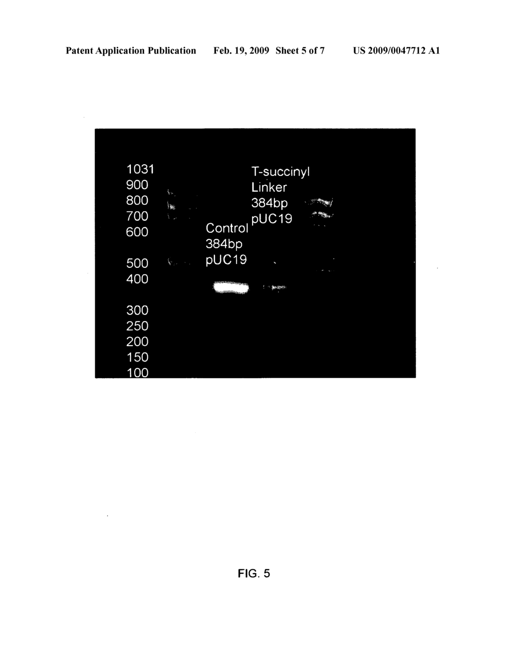 Chemically cleavable phosphoramidite linkers - diagram, schematic, and image 06