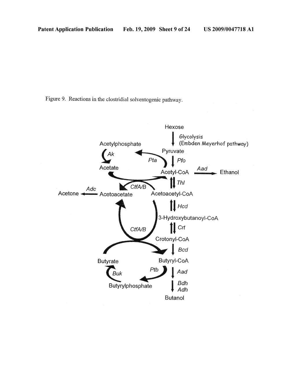 Methods and compositions for producing solvents - diagram, schematic, and image 10