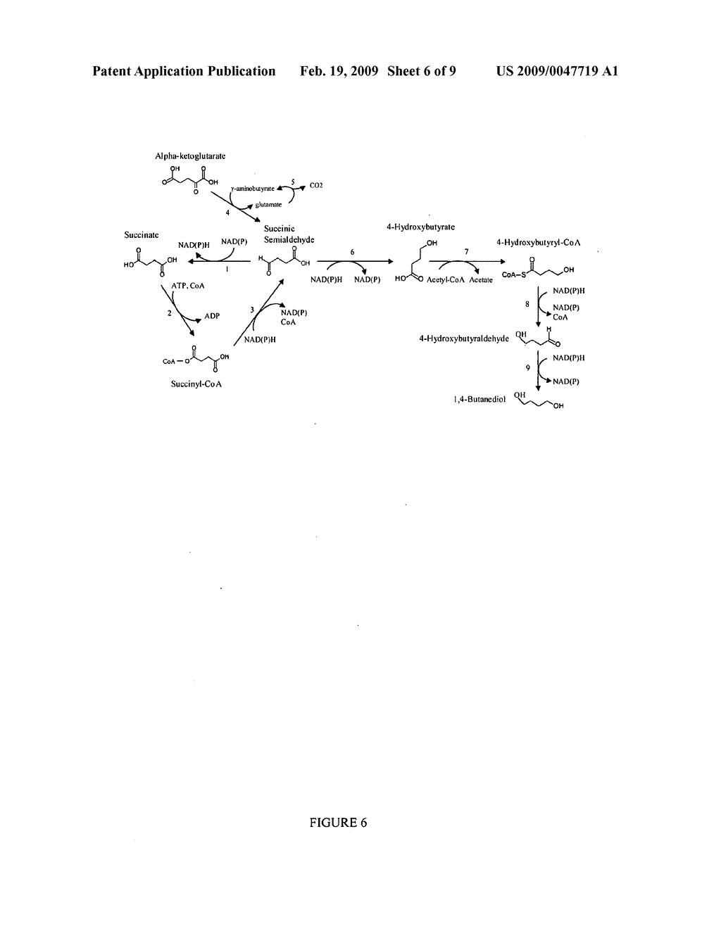 Methods and organisms for the growth-coupled production of 1,4-butanediol - diagram, schematic, and image 07