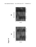 Renewable Diesel and Jet Fuel from Microbial Sources diagram and image