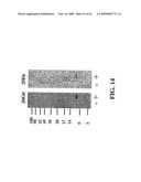 Human LY6-Big Molecules and Methods of Use diagram and image