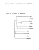 Compositions and methods comprising a ligand of chemerin R diagram and image